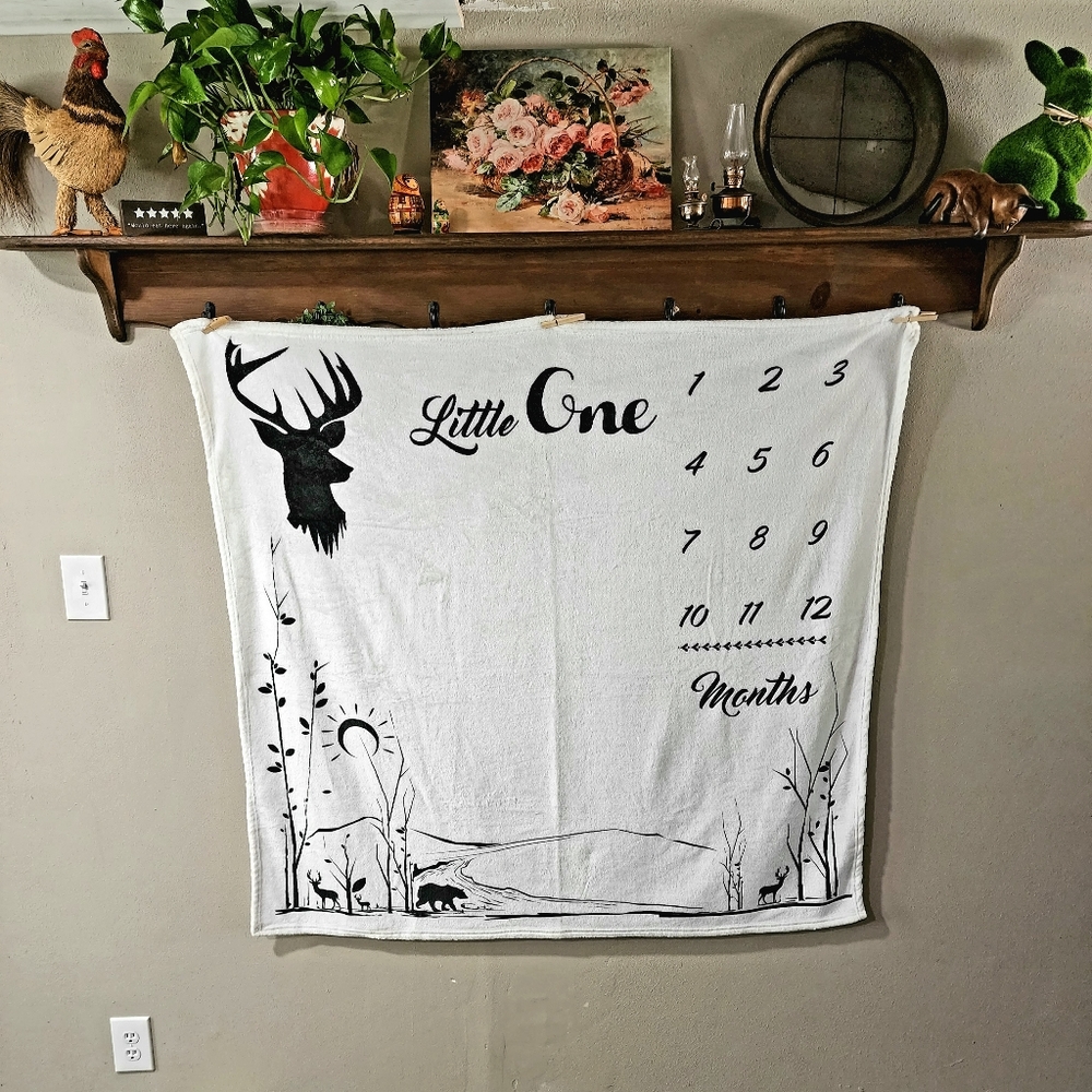 Baby Milestone Blanket
